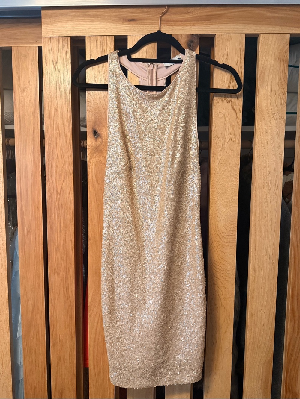 Vintage Champagne Sequin Sheath Dress